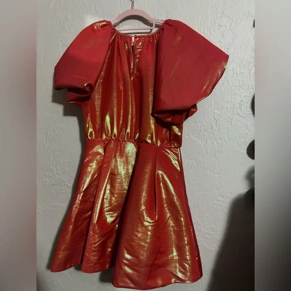 Christopher John Rogers Puffy Statement Dress w/ Pockets! Small